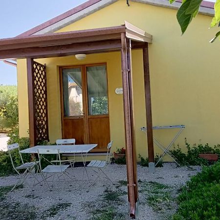 Agriturismo I Ciliegi Appartamento Ginestra Montignano المظهر الخارجي الصورة