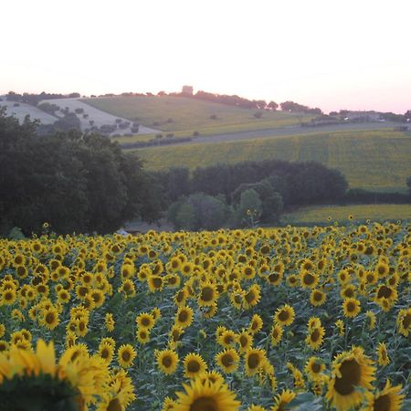 Agriturismo I Ciliegi Appartamento Ginestra Montignano المظهر الخارجي الصورة
