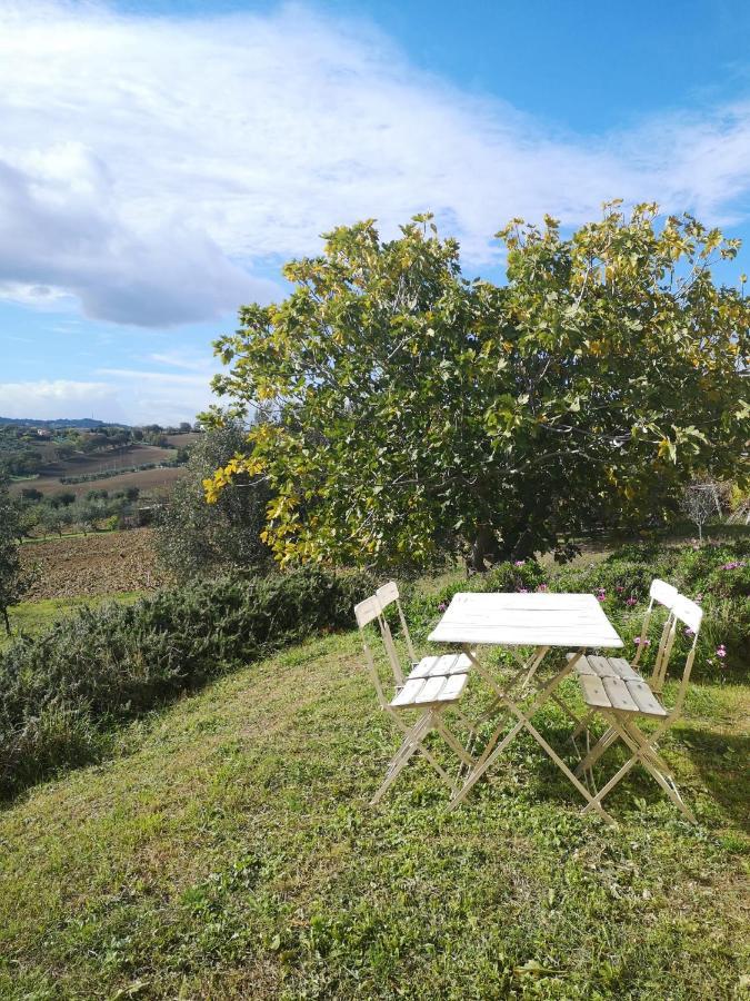 Agriturismo I Ciliegi Appartamento Ginestra Montignano المظهر الخارجي الصورة