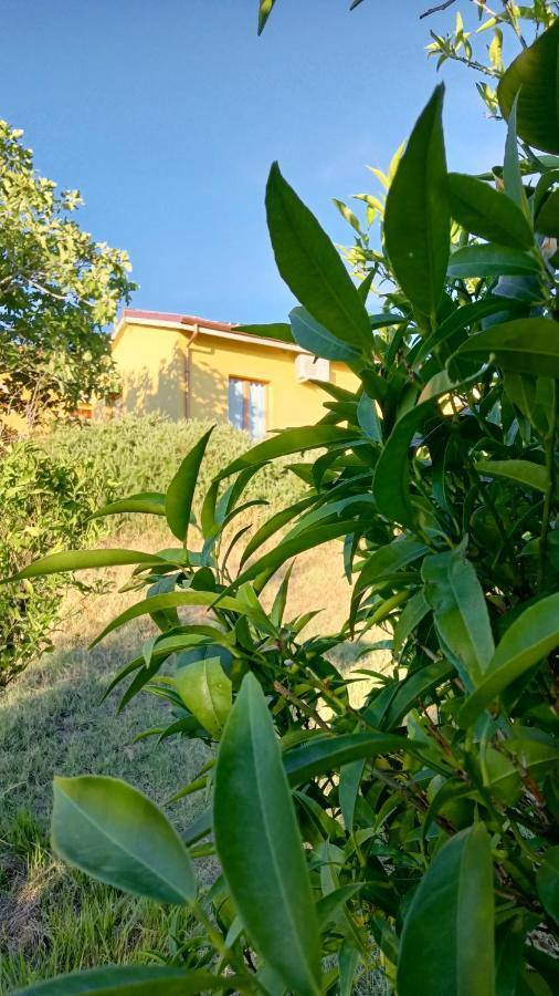 Agriturismo I Ciliegi Appartamento Ginestra Montignano المظهر الخارجي الصورة