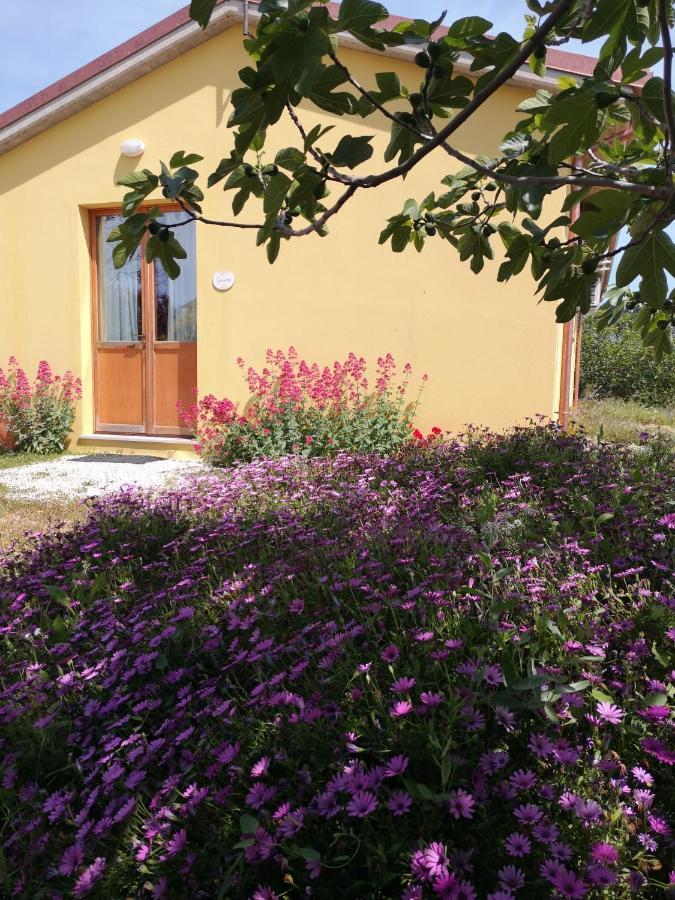 Agriturismo I Ciliegi Appartamento Ginestra Montignano المظهر الخارجي الصورة